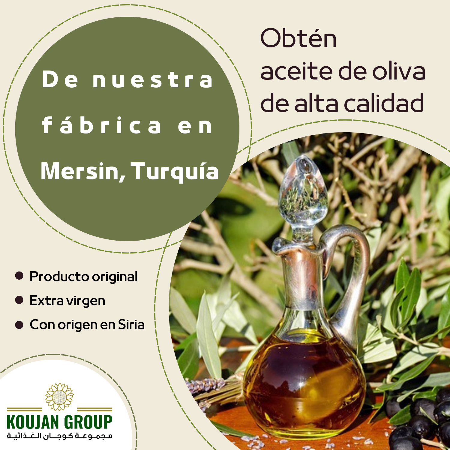Empresa de aceite de oliva en Mersin, Turquía – ¡Contáctanos para precios y asesoría!