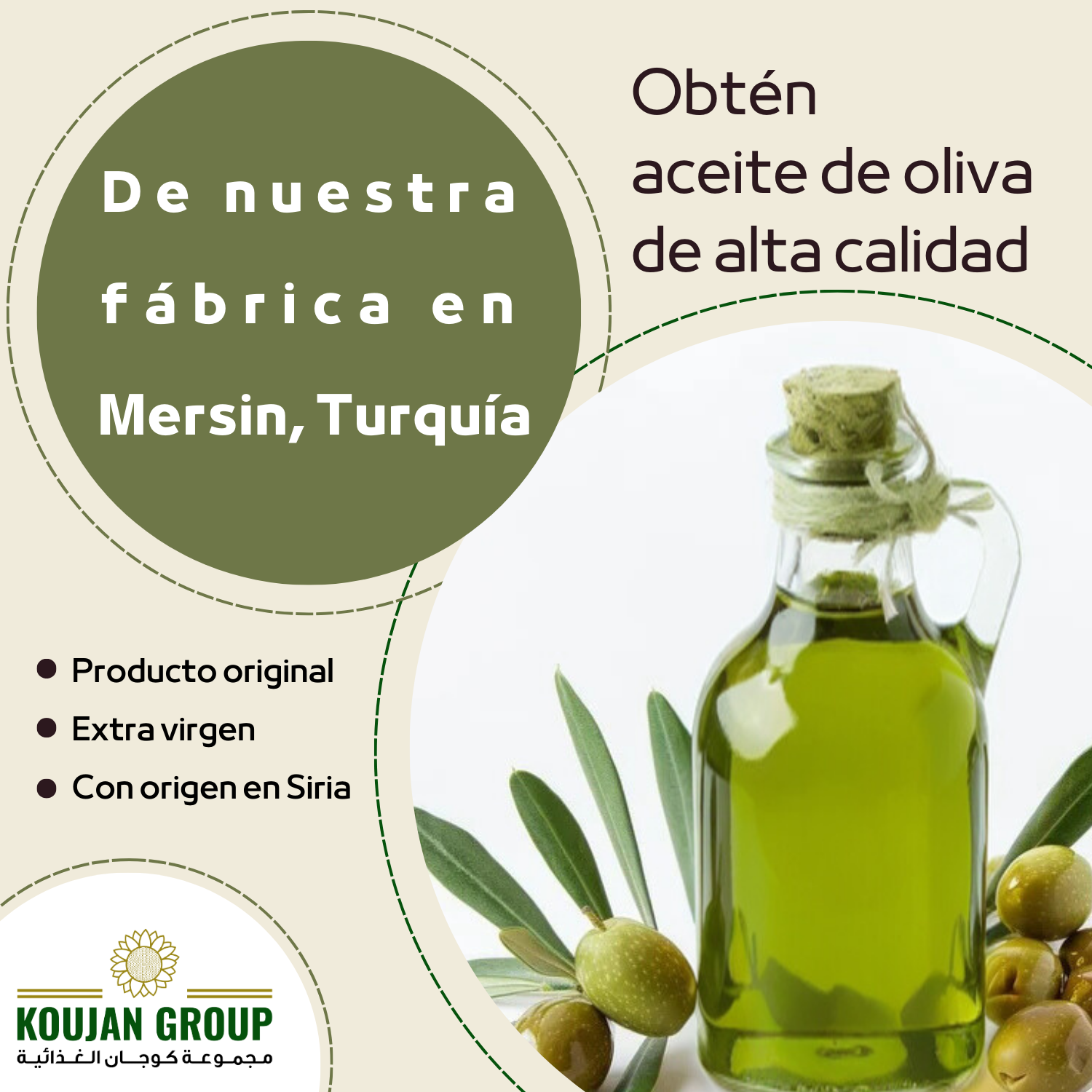 Empresa de aceite de oliva en Turquía, Mersin – ¡Contáctanos para precios y asesoría!