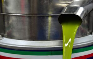 Aove que es, Extracción de Aceite de Oliva Virgen Extra Sirio